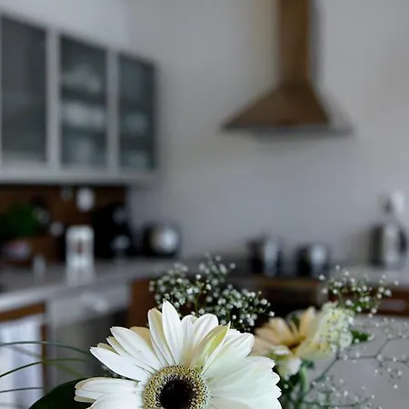 Patalaiska Villas Villa *